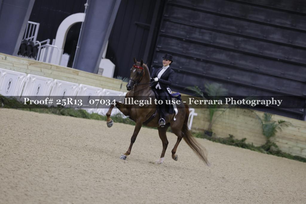 Proof Number 25R13_07034