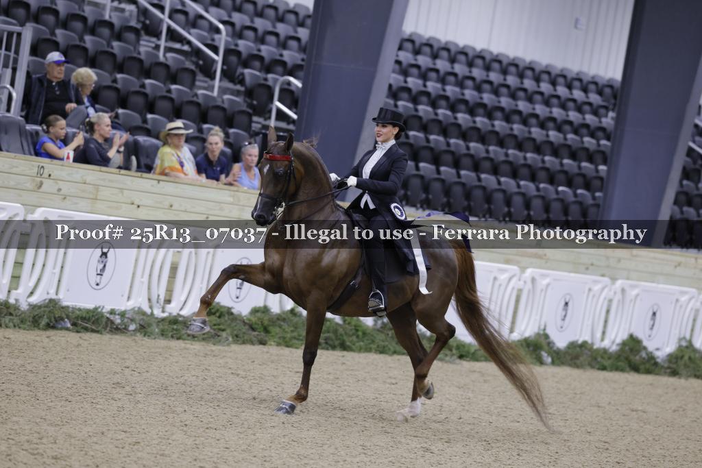 Proof Number 25R13_07037