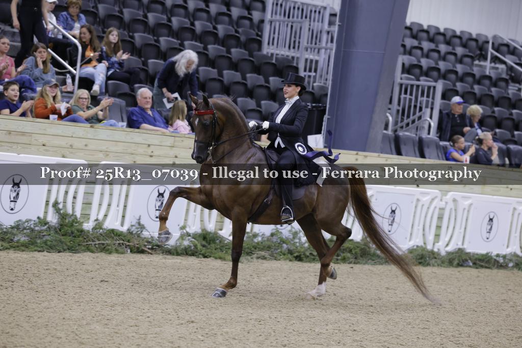 Proof Number 25R13_07039