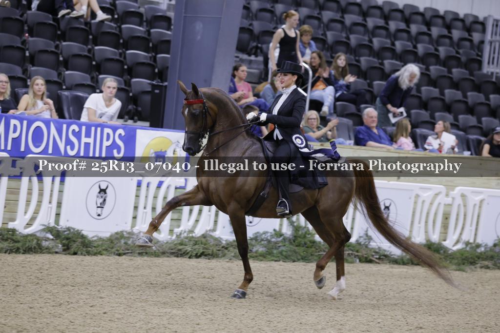 Proof Number 25R13_07040