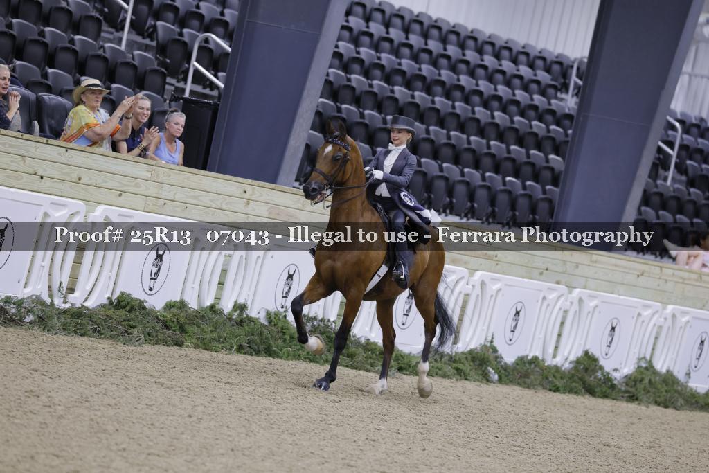 Proof Number 25R13_07043