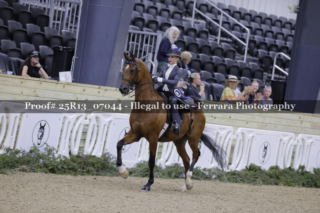 Proof Number 25R13_07044