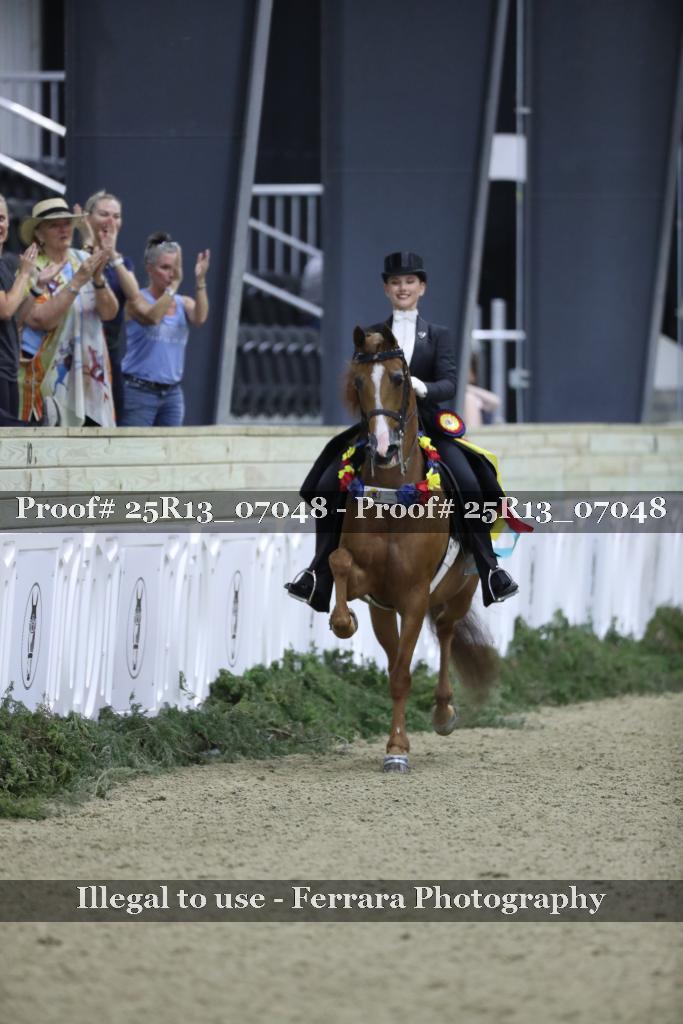 Proof Number 25R13_07048
