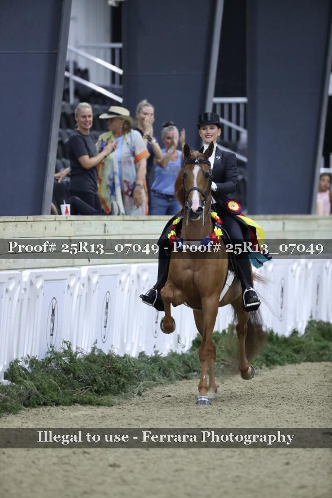 Proof Number 25R13_07049