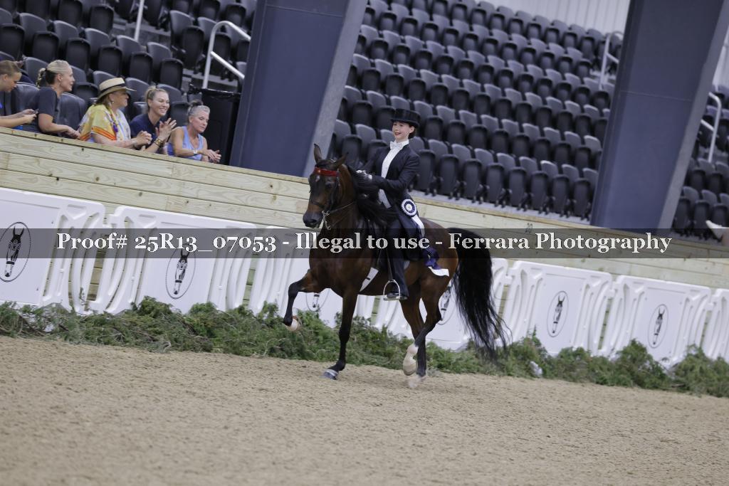 Proof Number 25R13_07053