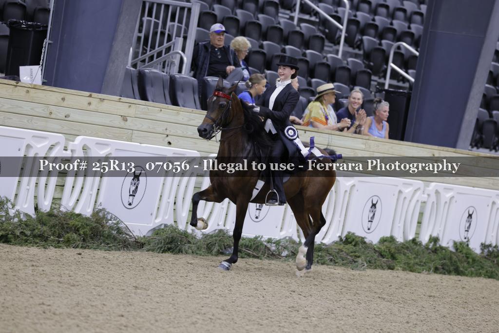 Proof Number 25R13_07056