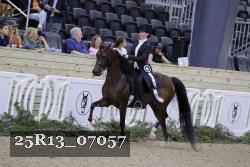 25R13_07057 thumbnail