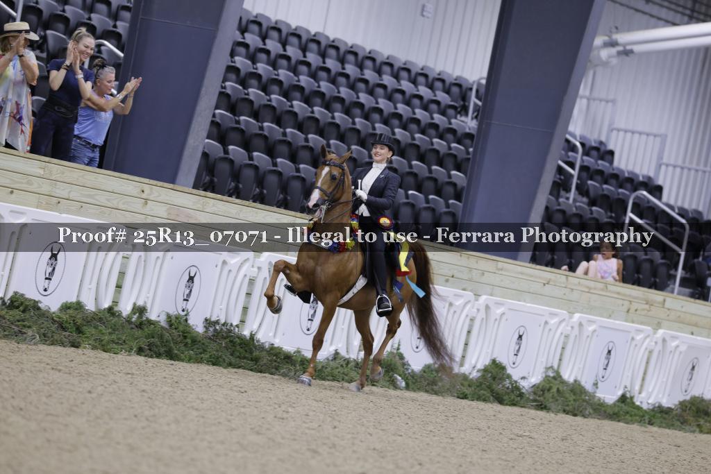 Proof Number 25R13_07071