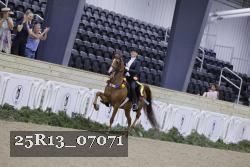 25R13_07071 thumbnail