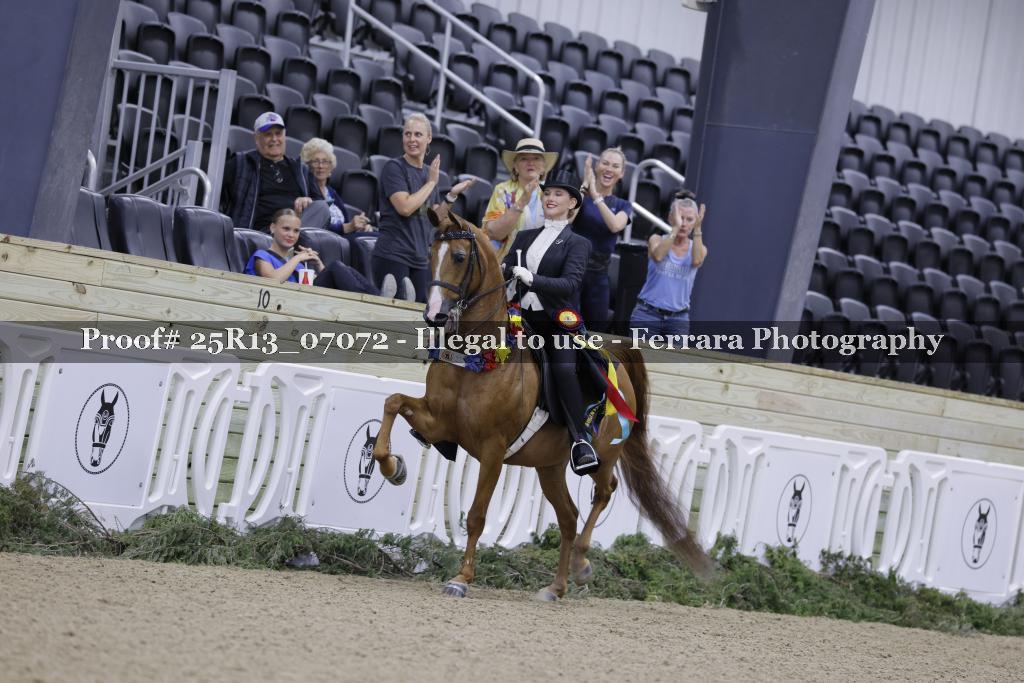 Proof Number 25R13_07072
