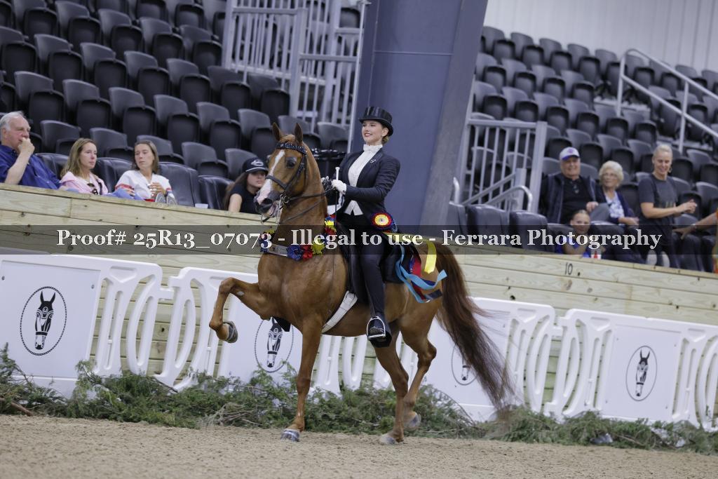 Proof Number 25R13_07073