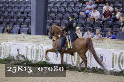25R13_07080 thumbnail
