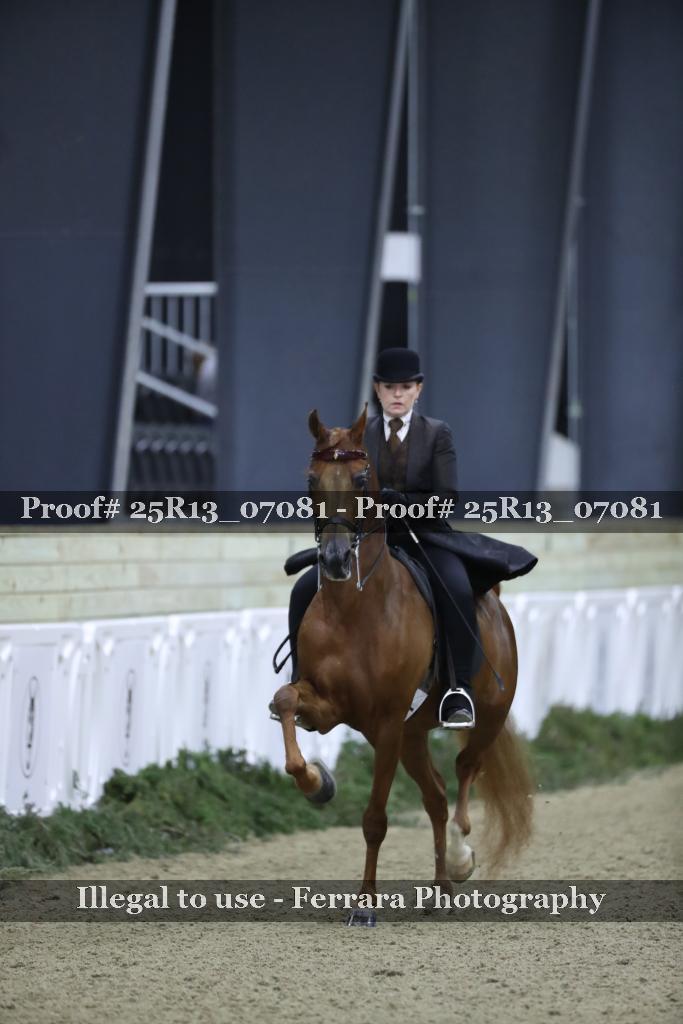 Proof Number 25R13_07081