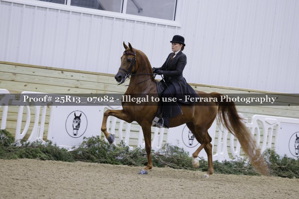Proof Number 25R13_07082