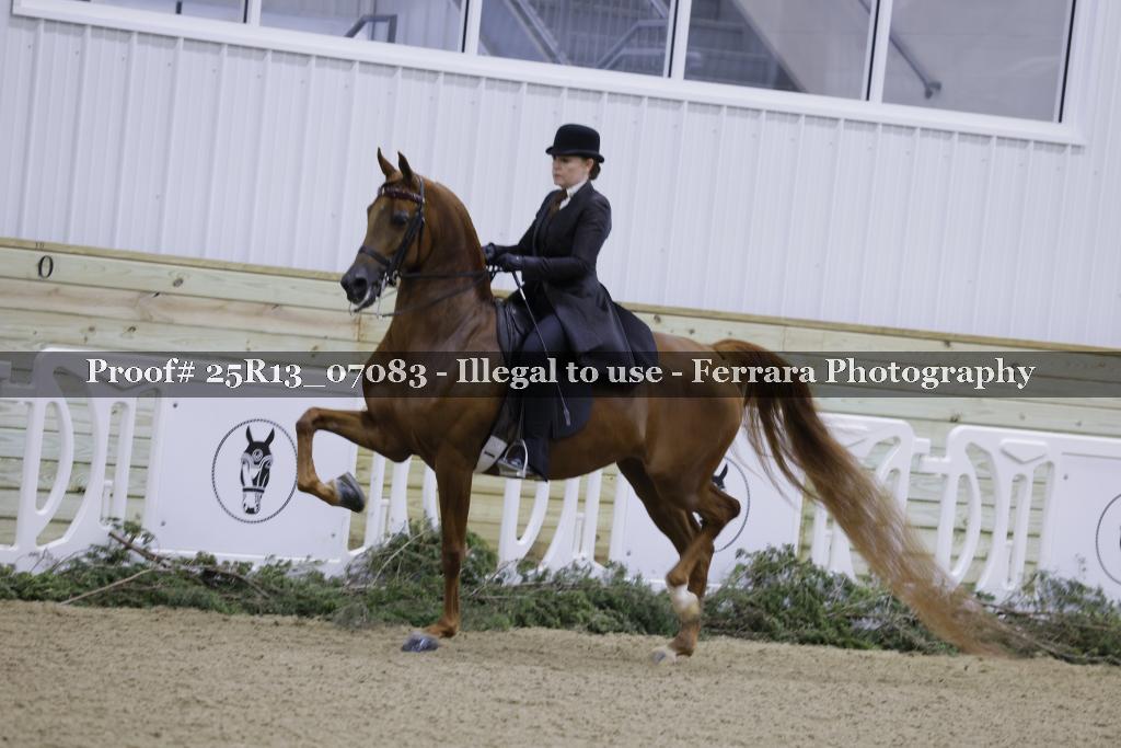 Proof Number 25R13_07083