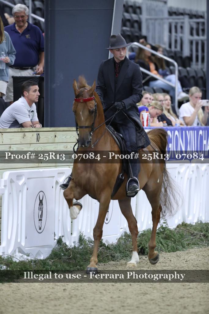 Proof Number 25R13_07084