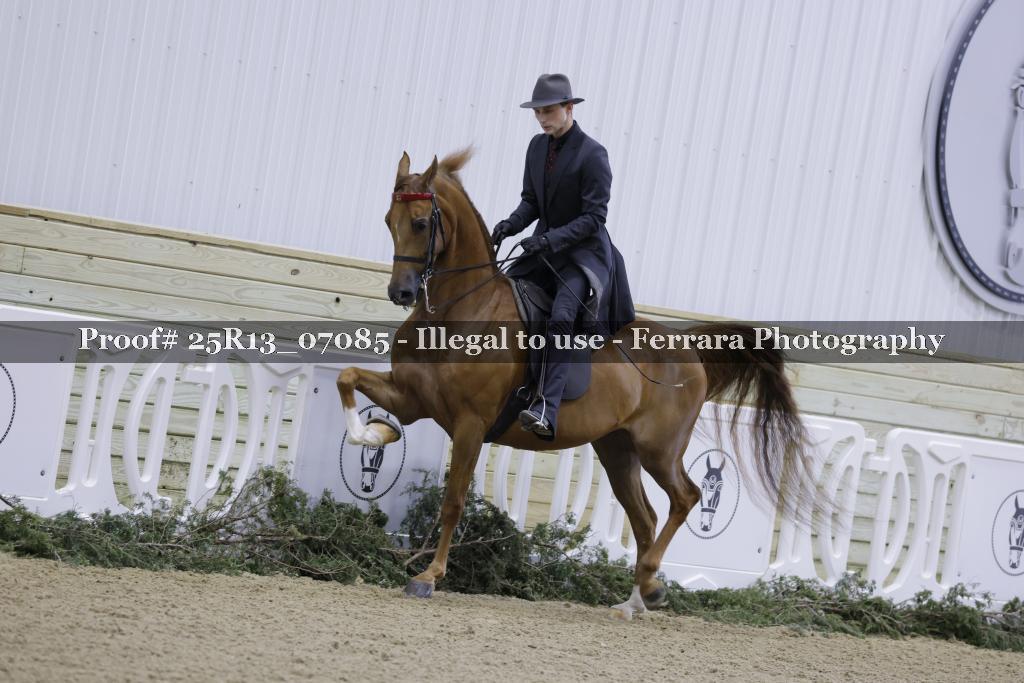 Proof Number 25R13_07085