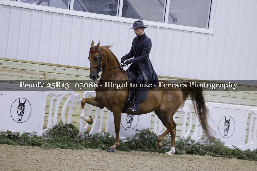 Proof Number 25R13_07086