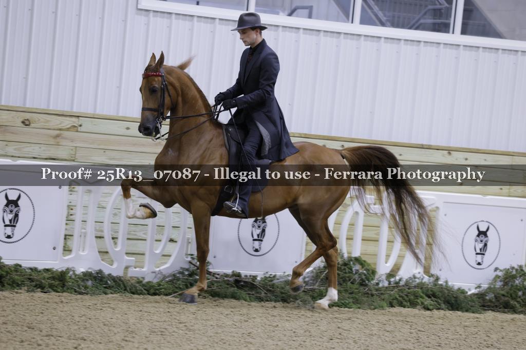 Proof Number 25R13_07087
