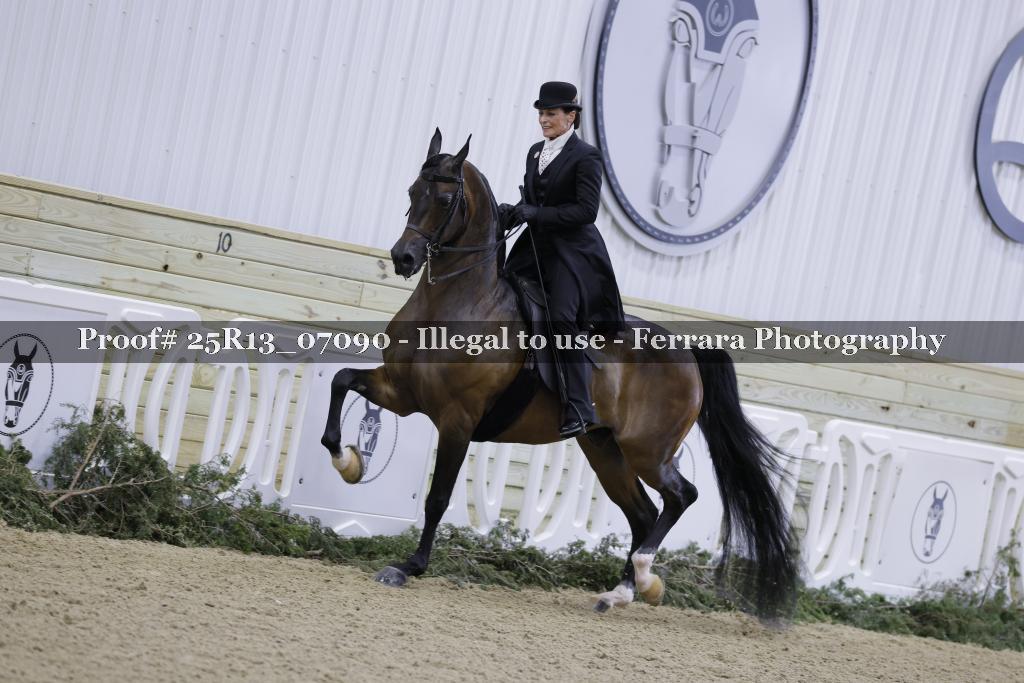 Proof Number 25R13_07090