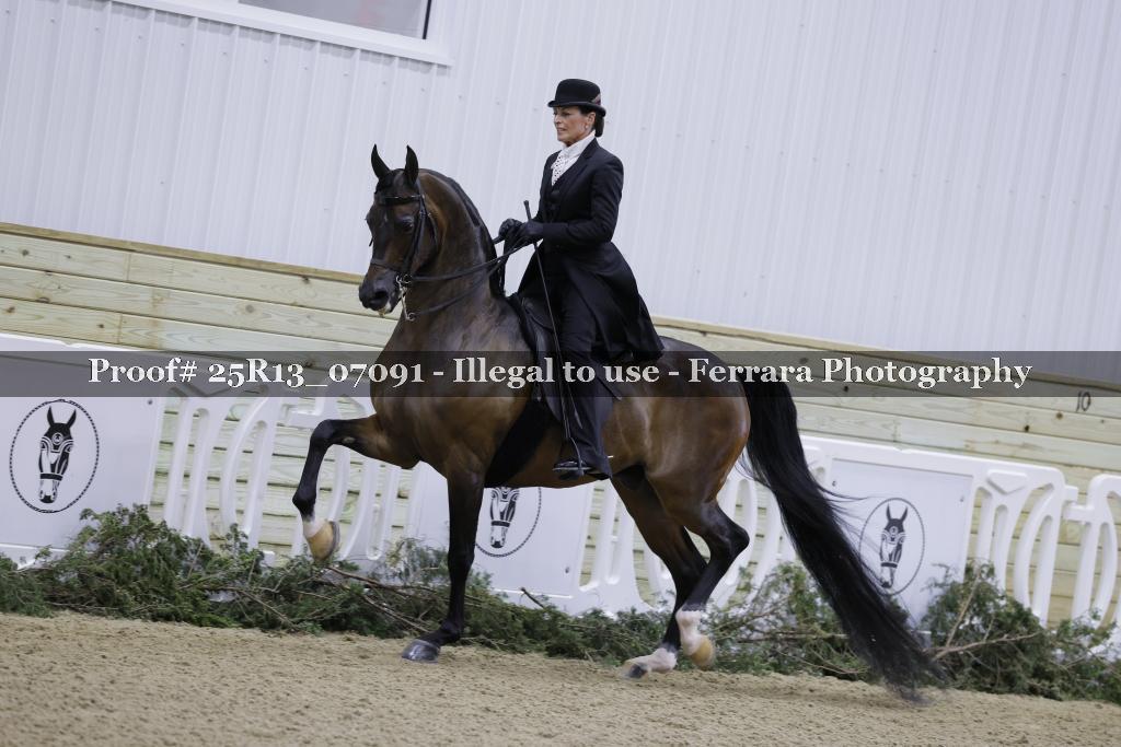 Proof Number 25R13_07091