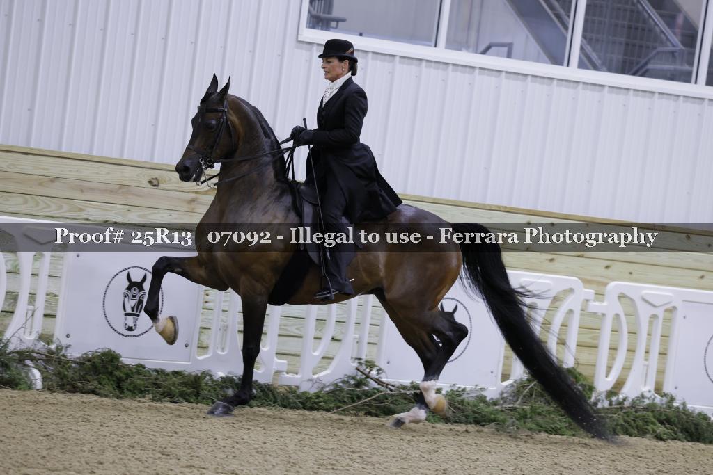 Proof Number 25R13_07092