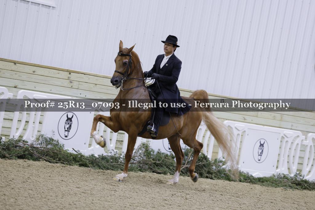 Proof Number 25R13_07093