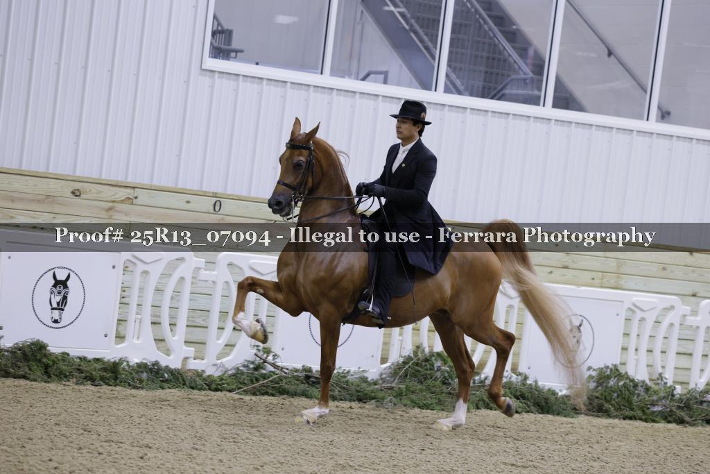 Proof Number 25R13_07094