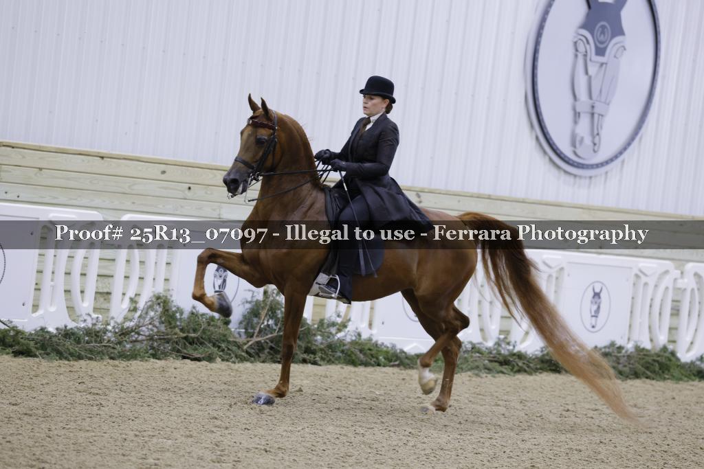 Proof Number 25R13_07097