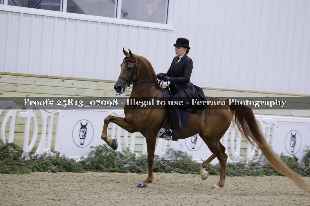 Proof Number 25R13_07098