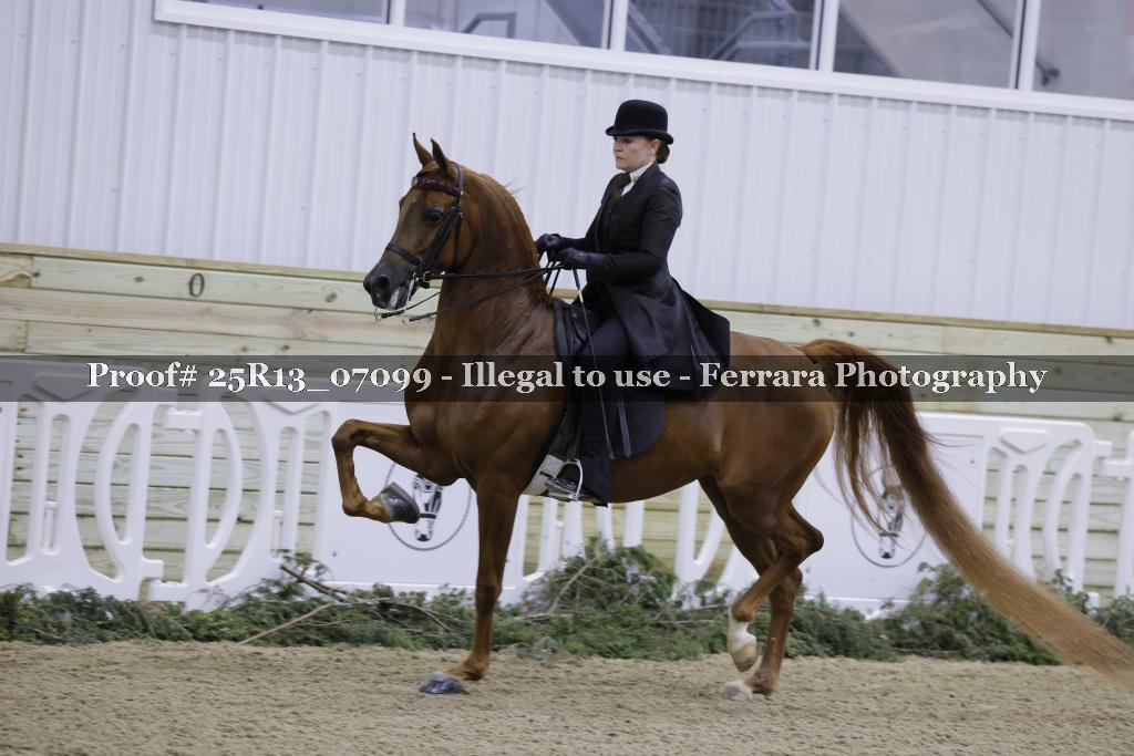 Proof Number 25R13_07099