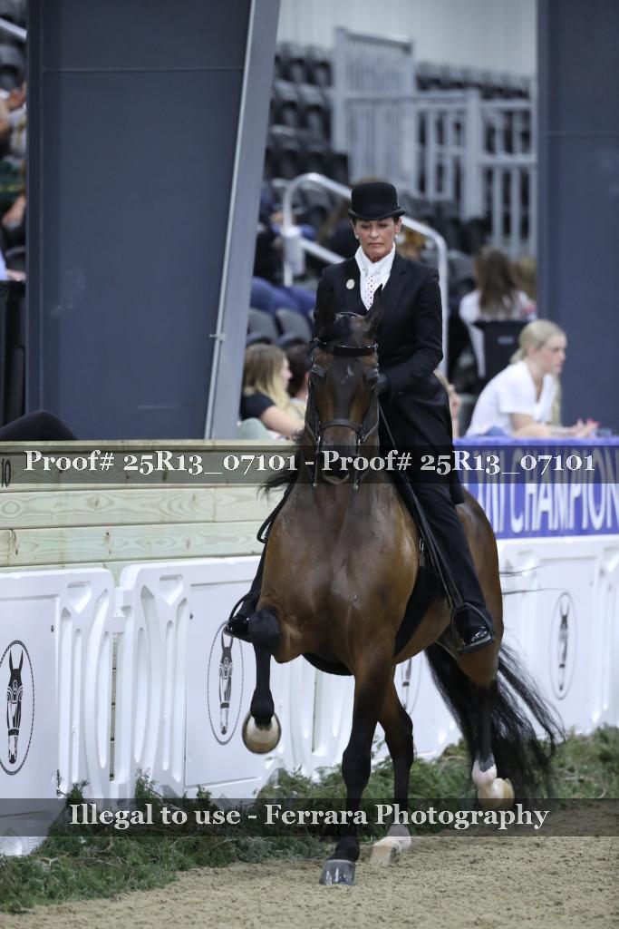 Proof Number 25R13_07101