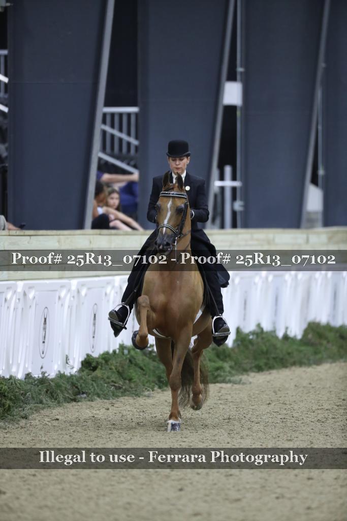 Proof Number 25R13_07102