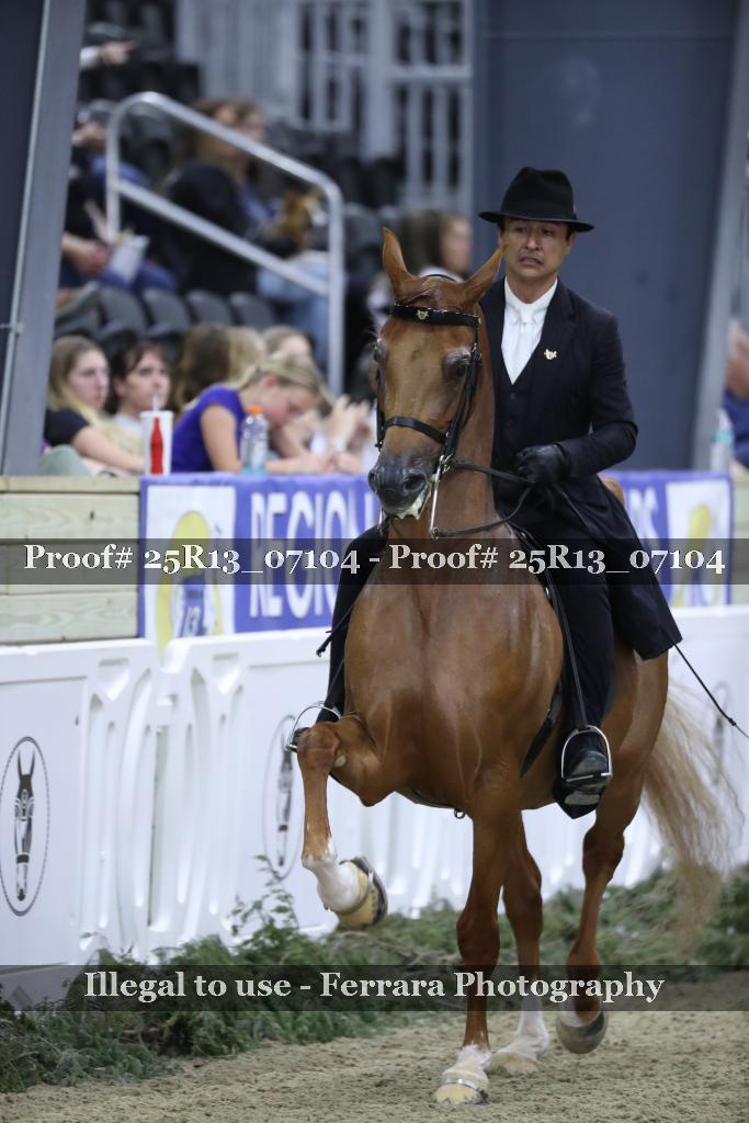 Proof Number 25R13_07104