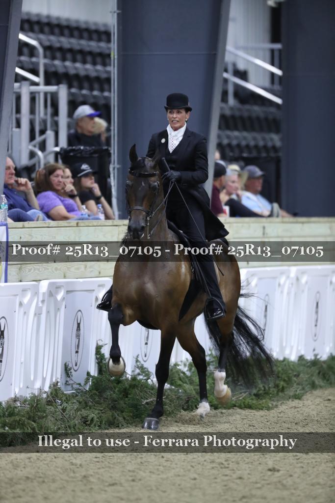 Proof Number 25R13_07105