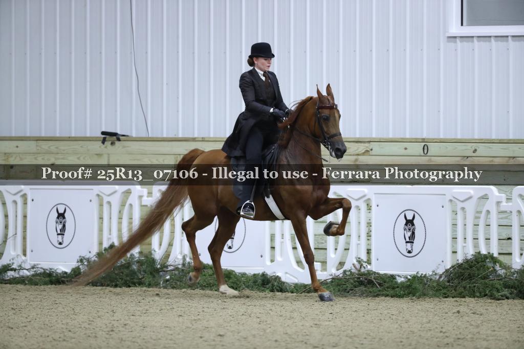 Proof Number 25R13_07106