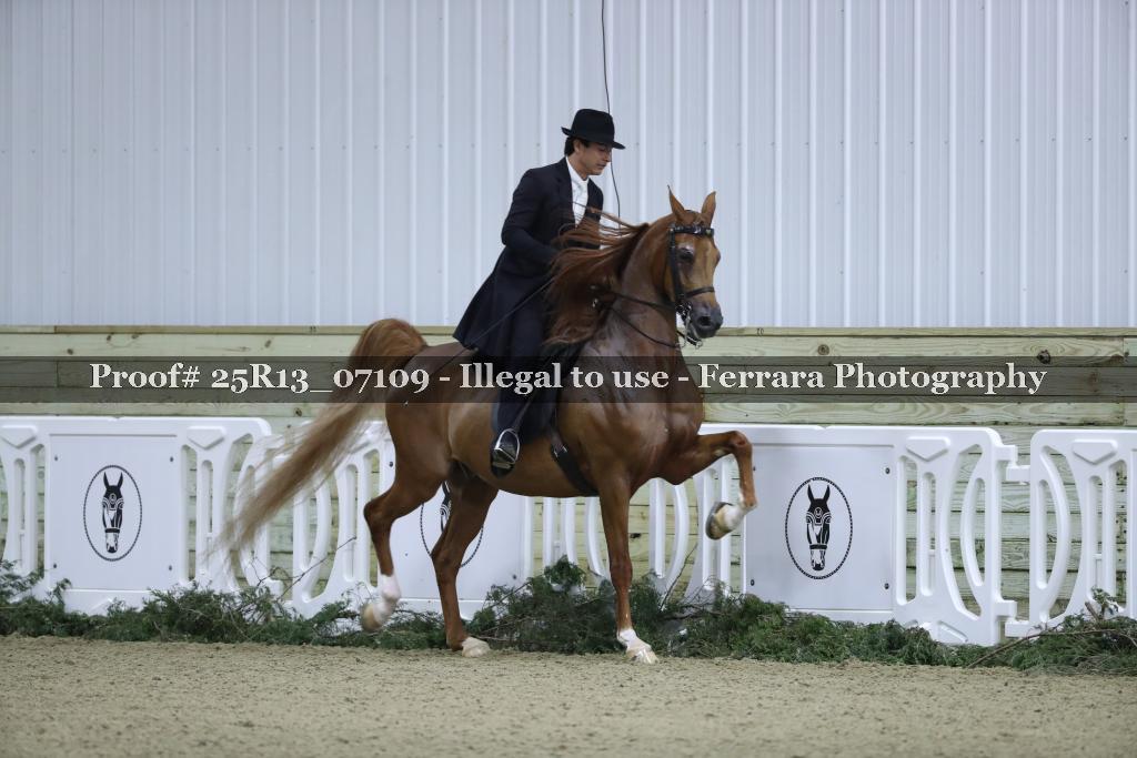 Proof Number 25R13_07109
