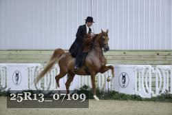 25R13_07109 thumbnail