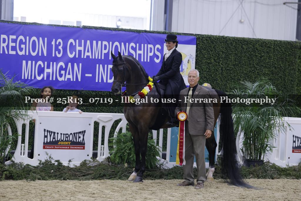 Proof Number 25R13_07119