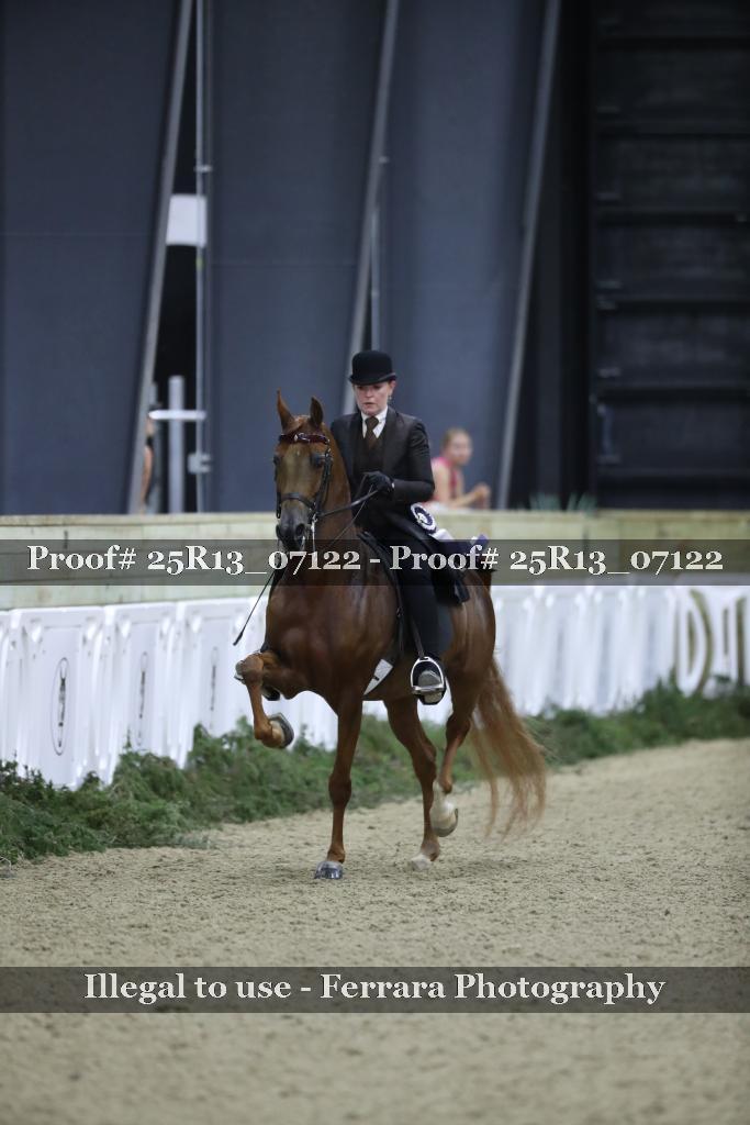 Proof Number 25R13_07122