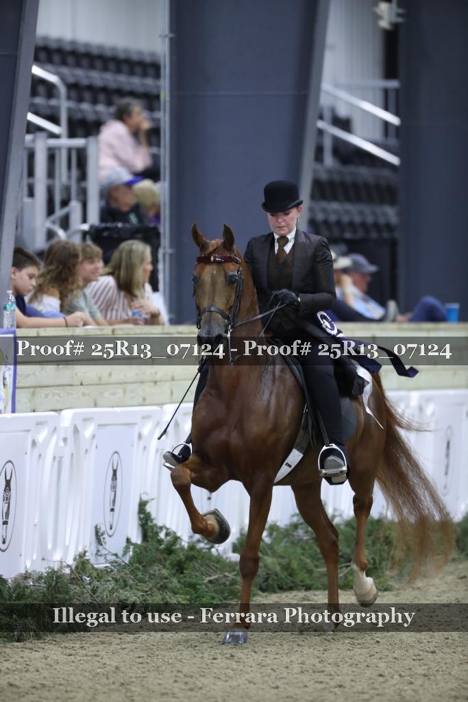Proof Number 25R13_07124