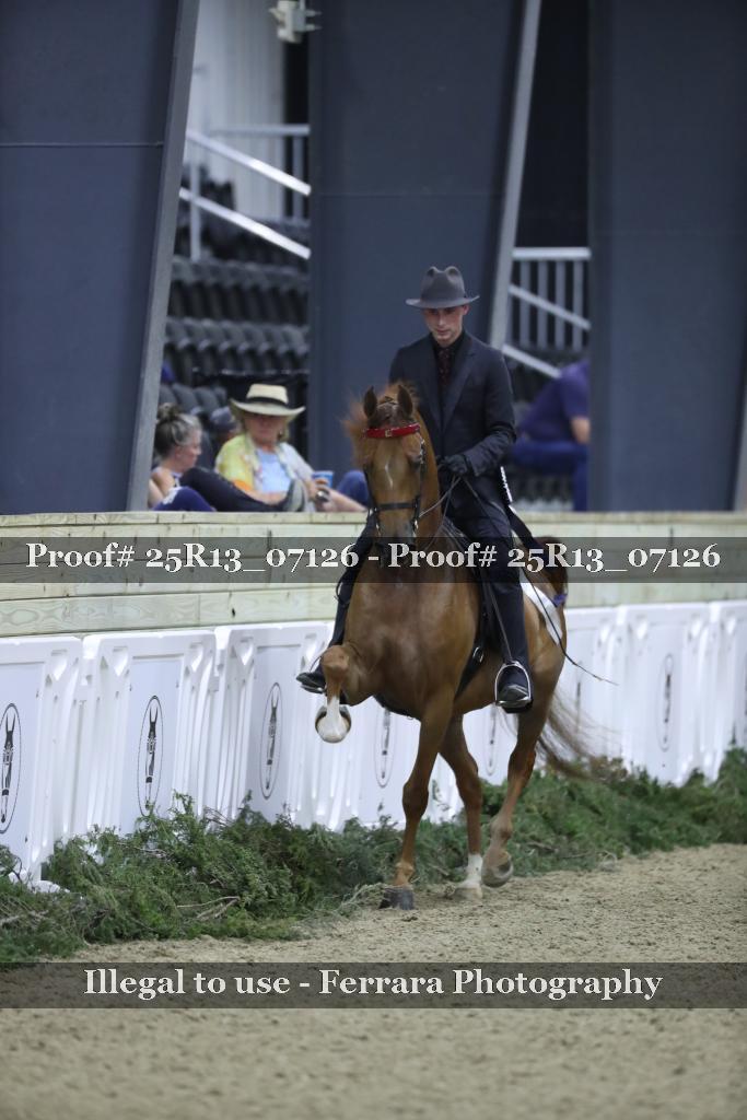 Proof Number 25R13_07126