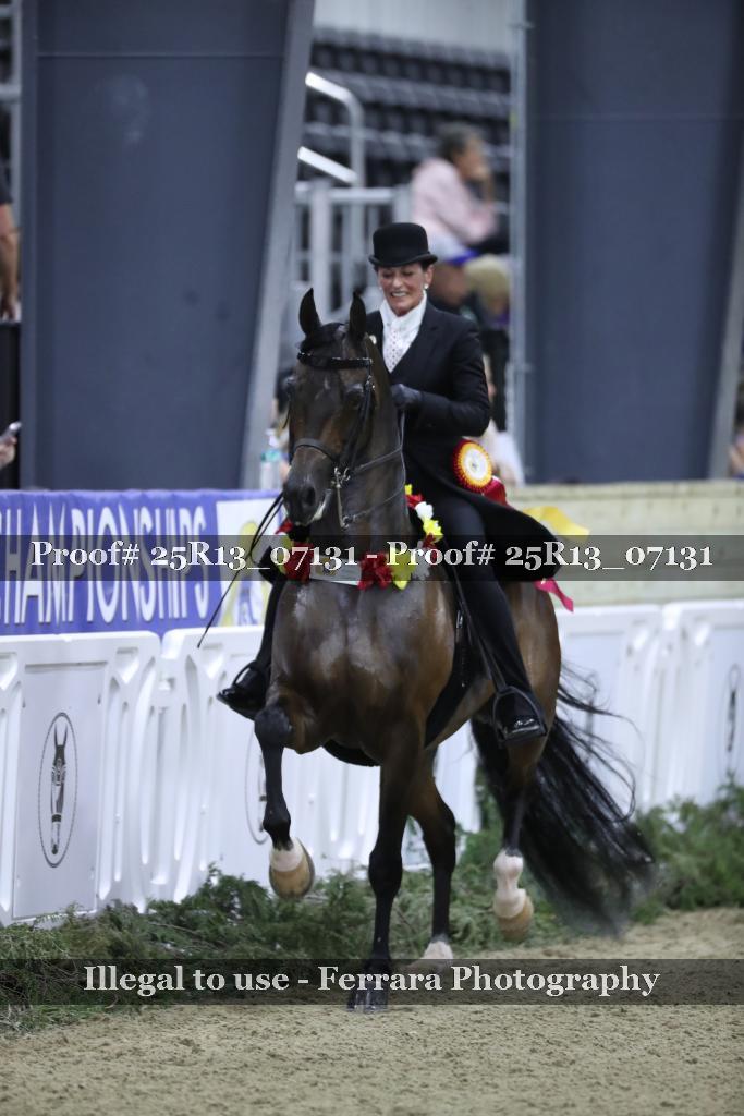Proof Number 25R13_07131