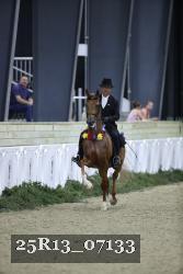 25R13_07133 thumbnail