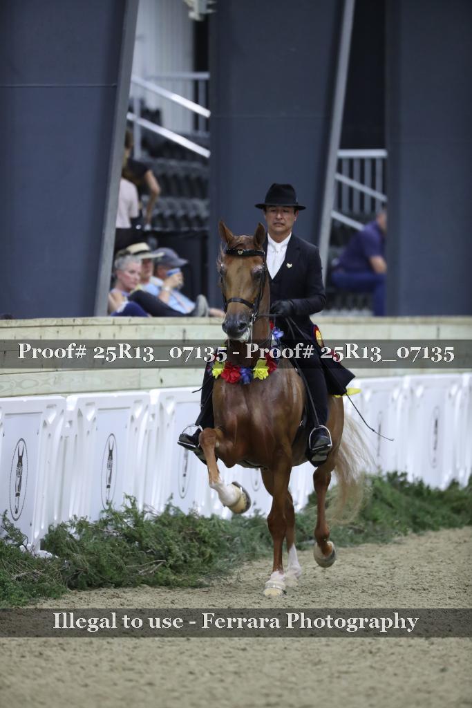 Proof Number 25R13_07135