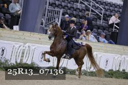 25R13_07136 thumbnail