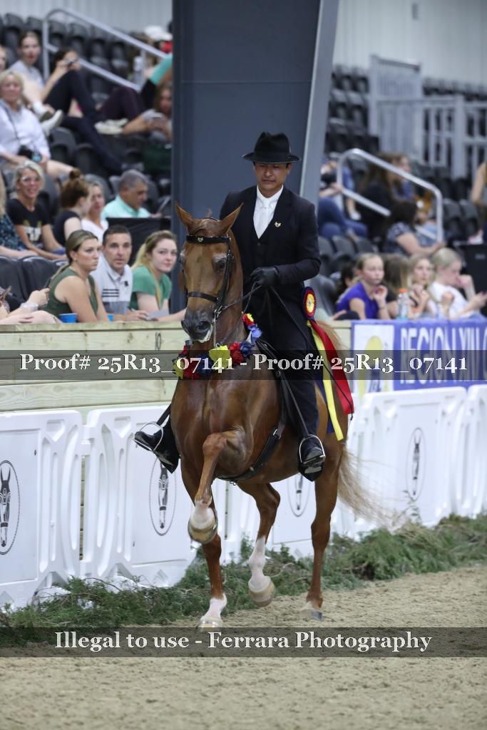 Proof Number 25R13_07141