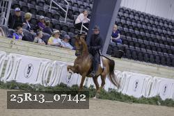 25R13_07142 thumbnail