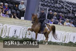25R13_07143 thumbnail