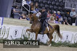 25R13_07144 thumbnail